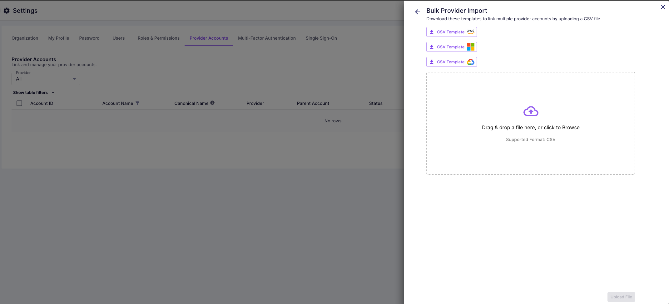 Provider Accounts Bulk Upload
